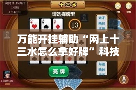 万能开挂辅助“网上十三水怎么拿好牌”科技辅助神器手机版教程