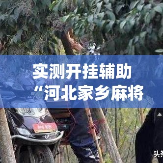 实测开挂辅助“河北家乡麻将亲友圈怎么开挂”(透视挂)辅助透视教程