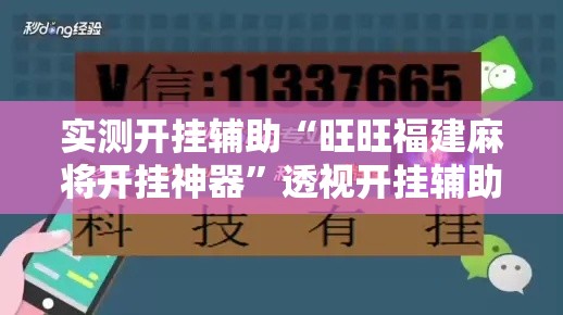 实测开挂辅助“旺旺福建麻将开挂神器	”透视开挂辅助教程