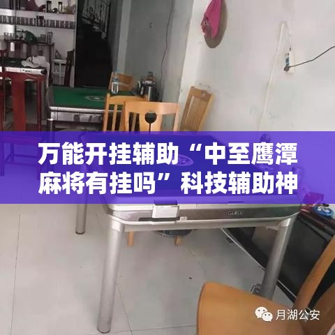 万能开挂辅助“中至鹰潭麻将有挂吗”科技辅助神器手机版教程