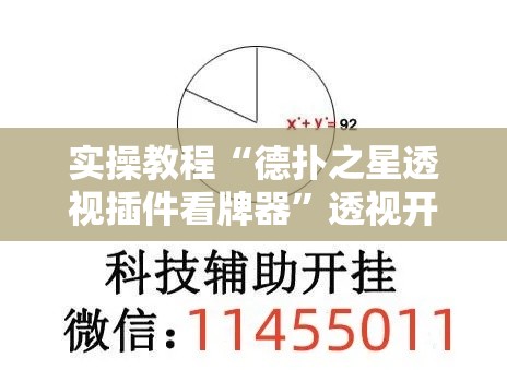 实操教程“德扑之星透视插件看牌器	”透视开挂辅助教程