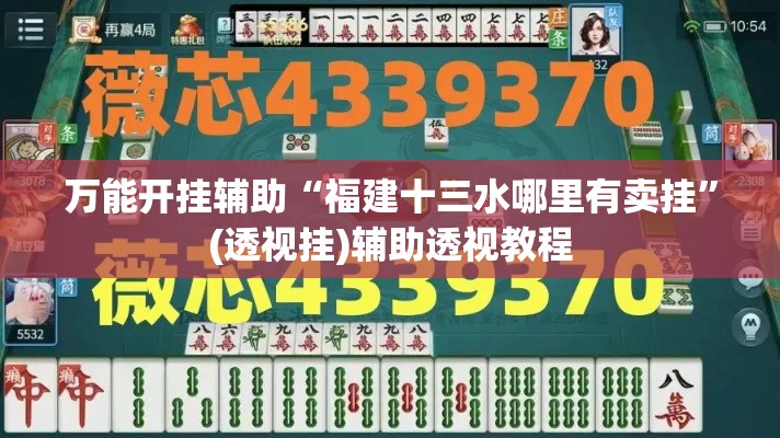 万能开挂辅助“福建十三水哪里有卖挂”(透视挂)辅助透视教程
