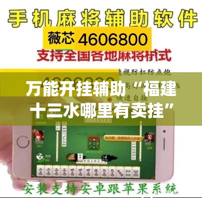 万能开挂辅助“福建十三水哪里有卖挂”(透视挂)辅助透视教程