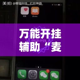 万能开挂辅助“麦穗推锅外卦神器”科技辅助神器手机版教程