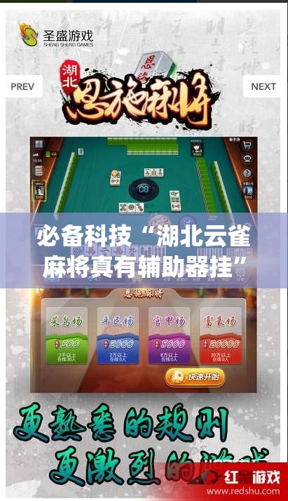 必备科技“湖北云雀麻将真有辅助器挂”(透视挂)辅助透视教程