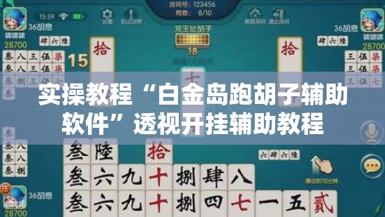 实操教程“白金岛跑胡子辅助软件”透视开挂辅助教程
