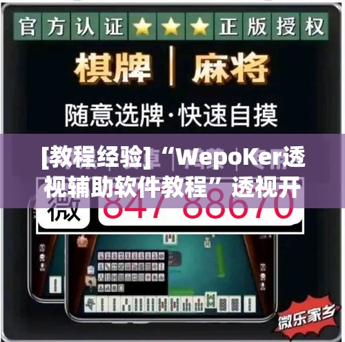 [教程经验]“WepoKer透视辅助软件教程”透视开挂辅助教程