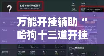 万能开挂辅助“哈狗十三道开挂辅助软件”(透视挂)辅助透视教程