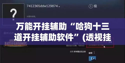 万能开挂辅助“哈狗十三道开挂辅助软件	”(透视挂)辅助透视教程