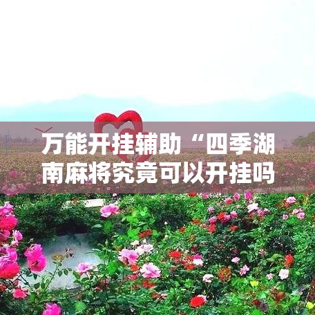 万能开挂辅助“四季湖南麻将究竟可以开挂吗”透视开挂辅助教程