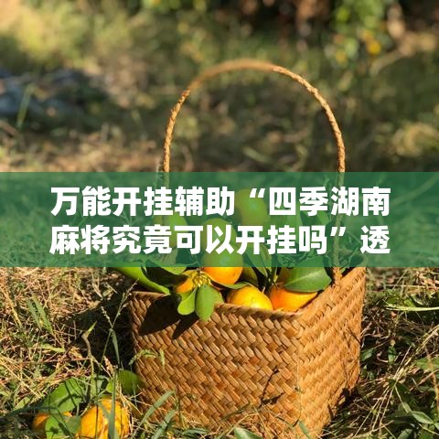万能开挂辅助“四季湖南麻将究竟可以开挂吗	”透视开挂辅助教程