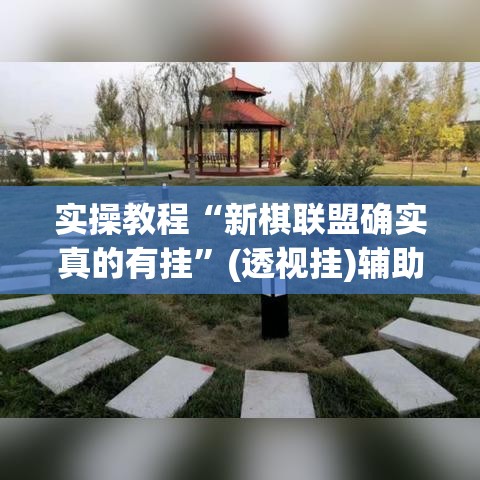实操教程“新棋联盟确实真的有挂”(透视挂)辅助透视教程