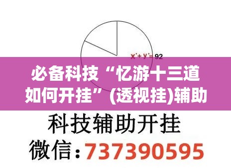 必备科技“忆游十三道如何开挂”(透视挂)辅助透视教程