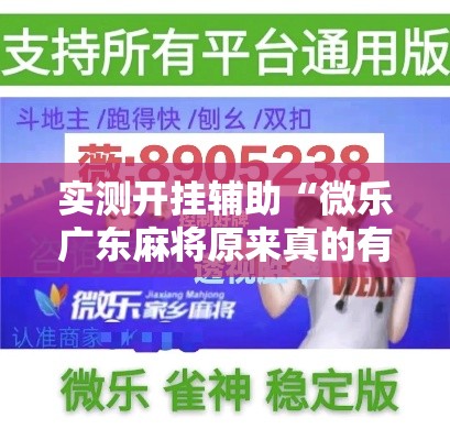 实测开挂辅助“微乐广东麻将原来真的有挂”科技辅助神器手机版教程