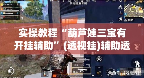 实操教程“葫芦娃三宝有开挂辅助”(透视挂)辅助透视教程