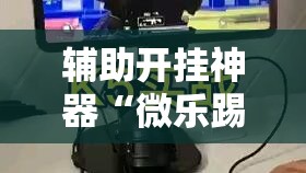 辅助开挂神器“微乐踢坑透视挂下载”科技辅助神器手机版教程