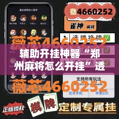 辅助开挂神器“郑州麻将怎么开挂”透视开挂辅助教程