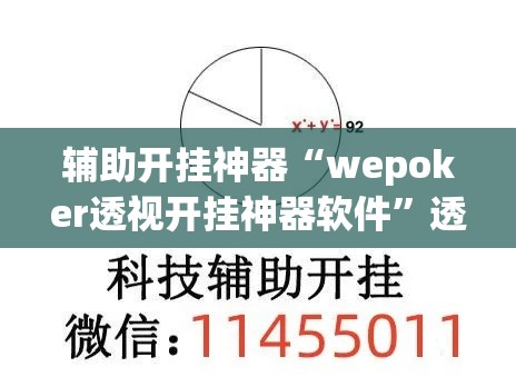 辅助开挂神器“wepoker透视开挂神器软件”透视开挂辅助教程
