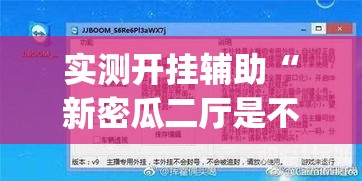 实测开挂辅助“新密瓜二厅是不是可以开挂”(透视挂)辅助透视教程