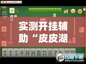 实测开挂辅助“皮皮湖南麻将开挂神器	”透视开挂辅助教程