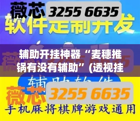 辅助开挂神器“麦穗推锅有没有辅助”(透视挂)辅助透视教程