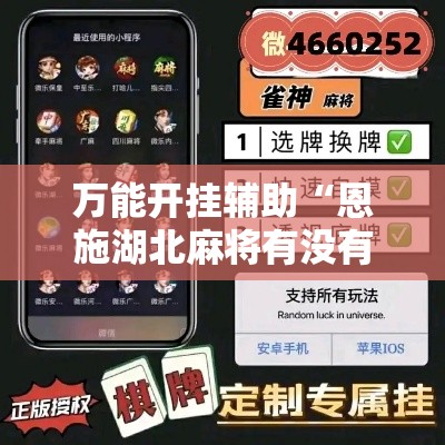 万能开挂辅助“恩施湖北麻将有没有挂”科技辅助神器手机版教程