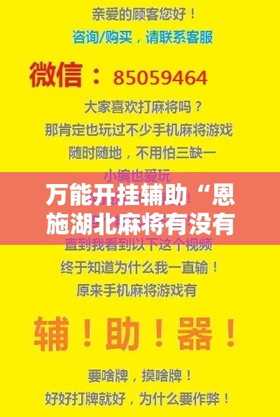 万能开挂辅助“恩施湖北麻将有没有挂”科技辅助神器手机版教程