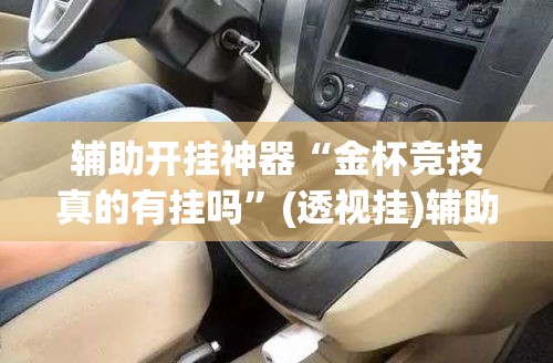 辅助开挂神器“金杯竞技真的有挂吗”(透视挂)辅助透视教程