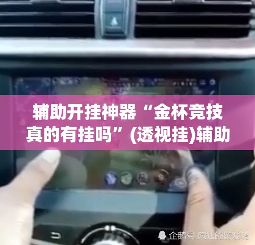 辅助开挂神器“金杯竞技真的有挂吗”(透视挂)辅助透视教程