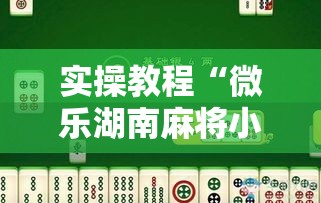 实操教程“微乐湖南麻将小程序必赢神器免费”科技辅助神器手机版教程