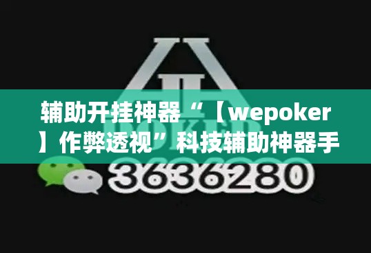 辅助开挂神器“【wepoker】作弊透视”科技辅助神器手机版教程