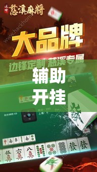 辅助开挂神器“边锋陕西麻将开挂视频教程”透视开挂辅助教程