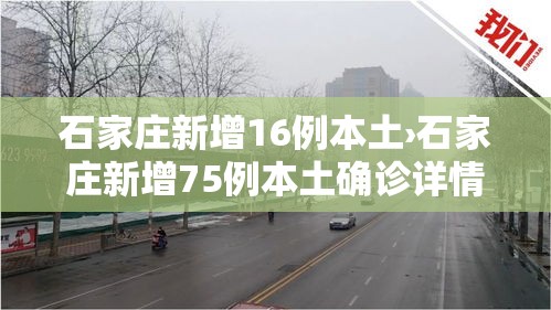 石家庄新增16例本土›石家庄新增75例本土确诊详情 石家庄新增16例本土›石家庄新增75例本土确诊详情