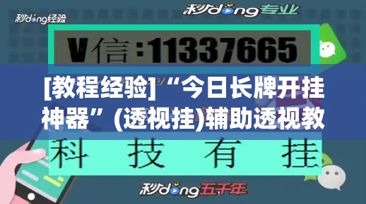 [教程经验]“今日长牌开挂神器”(透视挂)辅助透视教程