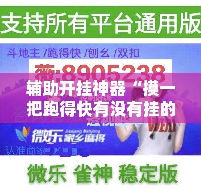 辅助开挂神器“摸一把跑得快有没有挂的”透视开挂辅助教程