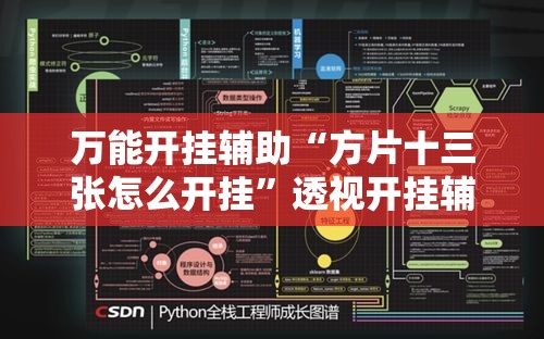 万能开挂辅助“方片十三张怎么开挂	”透视开挂辅助教程