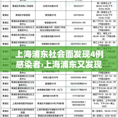 上海浦东社会面发现4例感染者›上海浦东又发现2例 上海浦东社会面发现4例感染者›上海浦东又发现2例