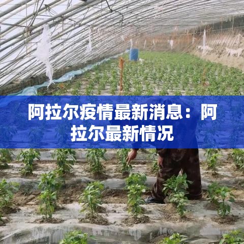 阿拉尔疫情最新消息:阿拉尔最新情况 阿拉尔疫情最新消息:阿拉尔最新情况