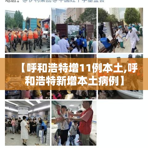 【呼和浩特增11例本土,呼和浩特新增本土病例】 【呼和浩特增11例本土,呼和浩特新增本土病例】