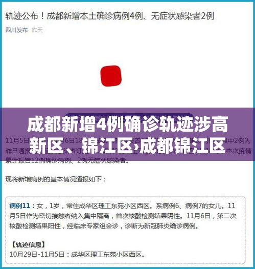 成都新增4例确诊轨迹涉高新区、锦江区›成都锦江区新冠疫情