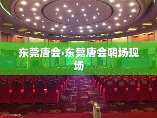 东莞唐会›东莞唐会嗨场现场 东莞唐会›东莞唐会嗨场现场