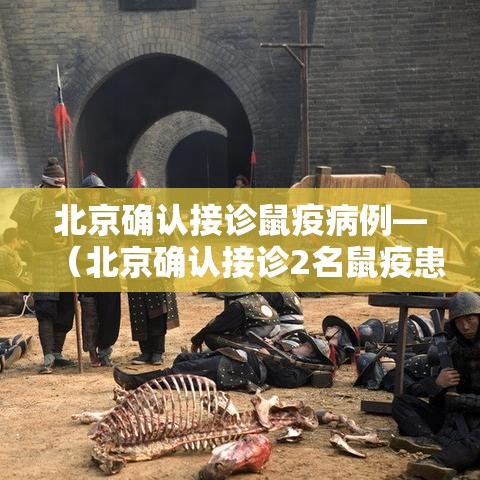 北京确认接诊鼠疫病例—(北京确认接诊2名鼠疫患者) 北京确认接诊鼠疫病例—(北京确认接诊2名鼠疫患者)
