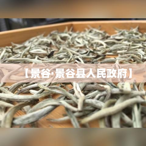【景谷·景谷县人民政府】 【景谷·景谷县人民政府】