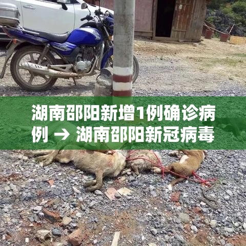 湖南邵阳新增1例确诊病例 → 湖南邵阳新冠病毒疫情 湖南邵阳新增1例确诊病例 → 湖南邵阳新冠病毒疫情