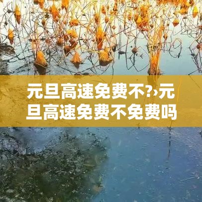 元旦高速免费不?›元旦高速免费不免费吗