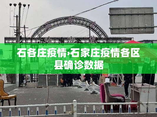 石各庄疫情›石家庄疫情各区县确诊数据