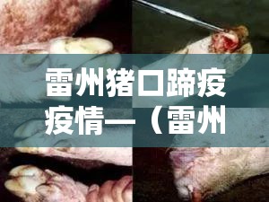 雷州猪口蹄疫疫情—(雷州猪口蹄疫疫情最新消息) 雷州猪口蹄疫疫情—(雷州猪口蹄疫疫情最新消息)