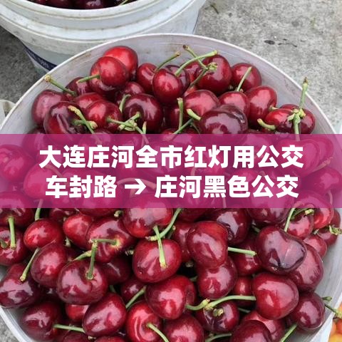 大连庄河全市红灯用公交车封路 → 庄河黑色公交车