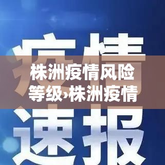 株洲疫情风险等级›株洲疫情分布图