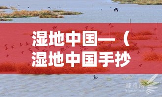 湿地中国—(湿地中国手抄报) 湿地中国—(湿地中国手抄报)